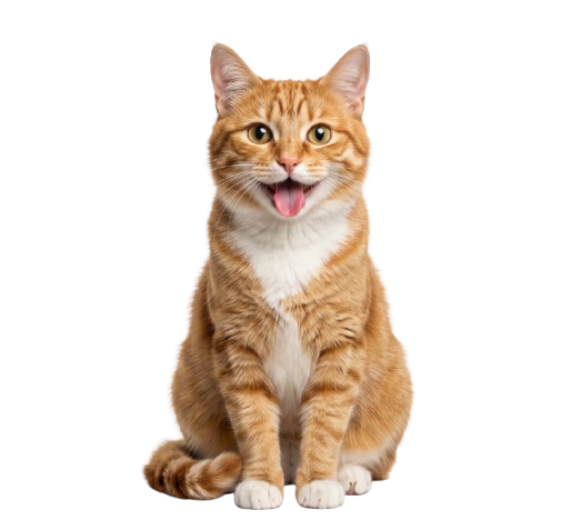 Cat food packaging