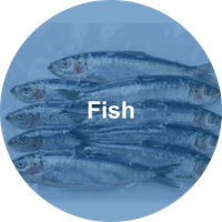 Fish Industry Navigation