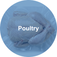 Poultry Industry Navigation