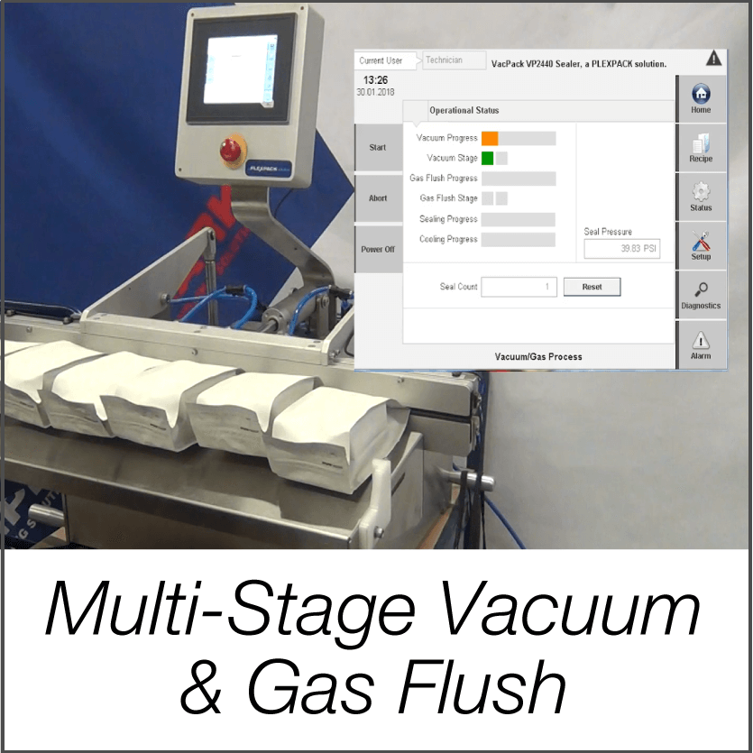 multistage vacuum and gas flush sealer